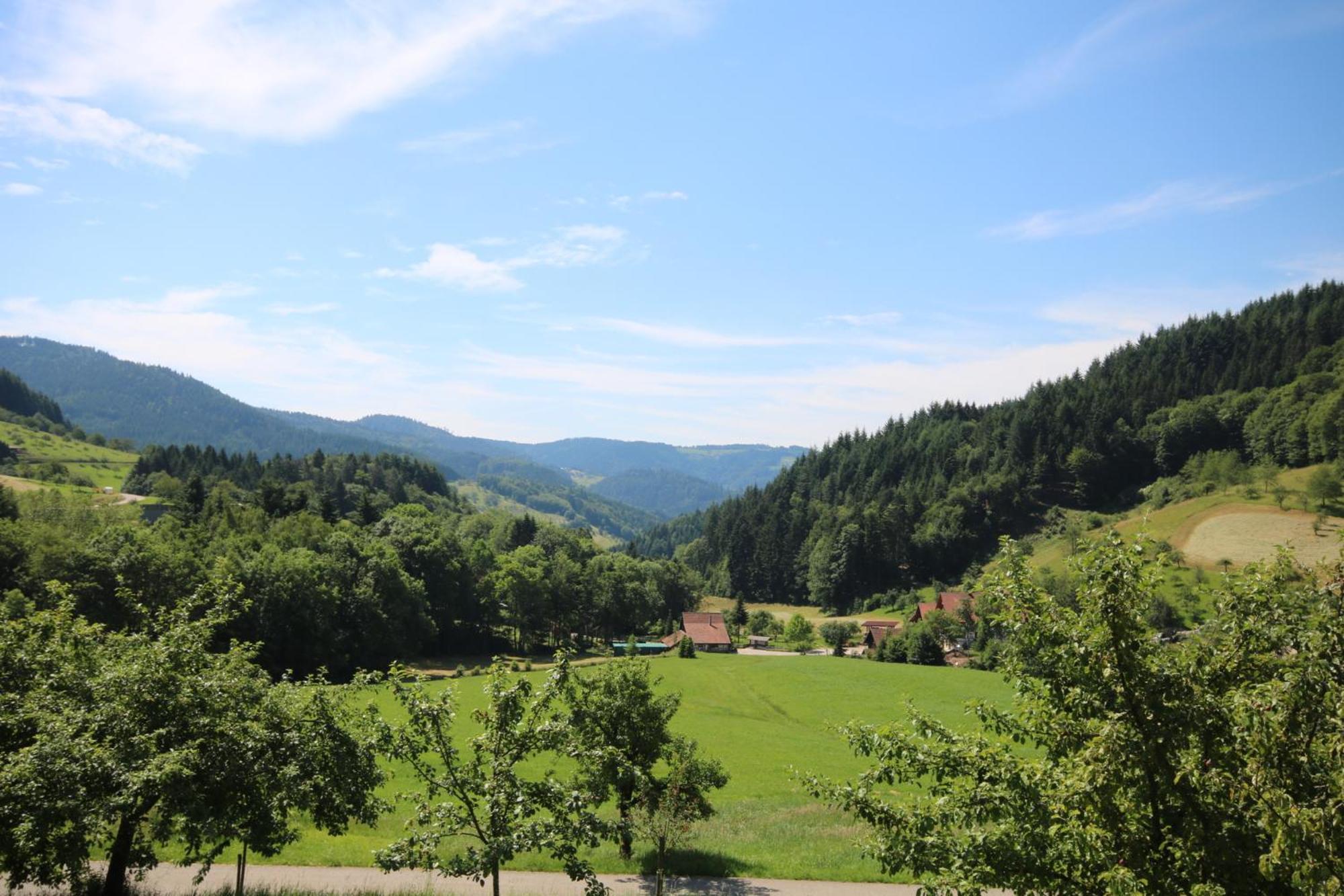 Kasimir Hof Villa Seebach Eksteriør billede