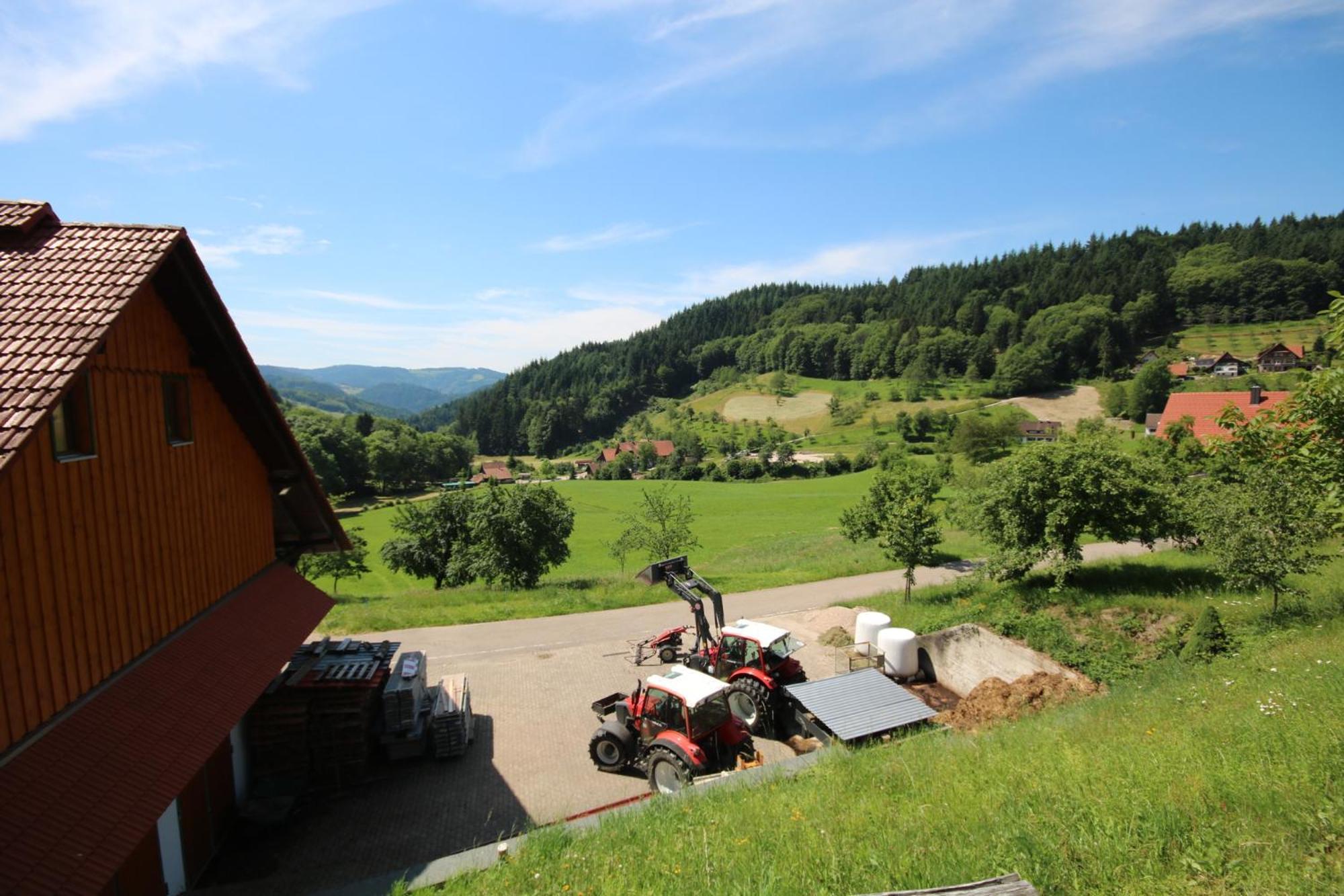 Kasimir Hof Villa Seebach Eksteriør billede