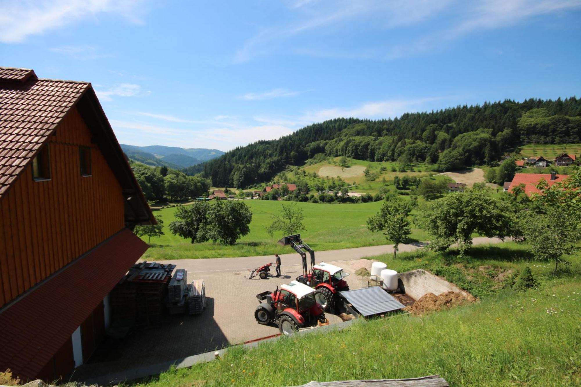 Kasimir Hof Villa Seebach Eksteriør billede